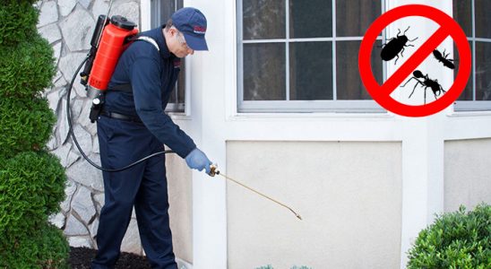 Güce Dezenfeksiyon böcek ilaçlama ve haşere kontrolü — ilaclama-tr.com